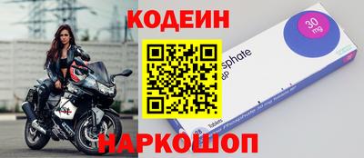 бошки Кингисепп