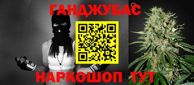 бошки Кингисепп