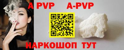 бошки Кингисепп