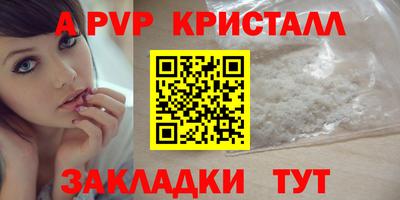бошки Кингисепп
