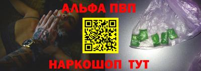 бошки Кингисепп