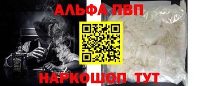 бошки Кингисепп