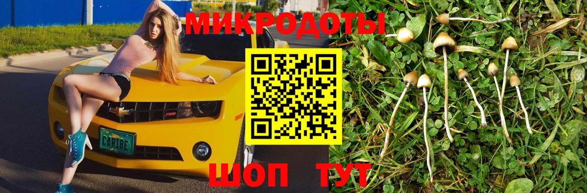 Галлюциногенные грибы MAGIC MUSHROOMS  Галлюциногенные грибы мицелий  Малгобек  Вход с VPN 