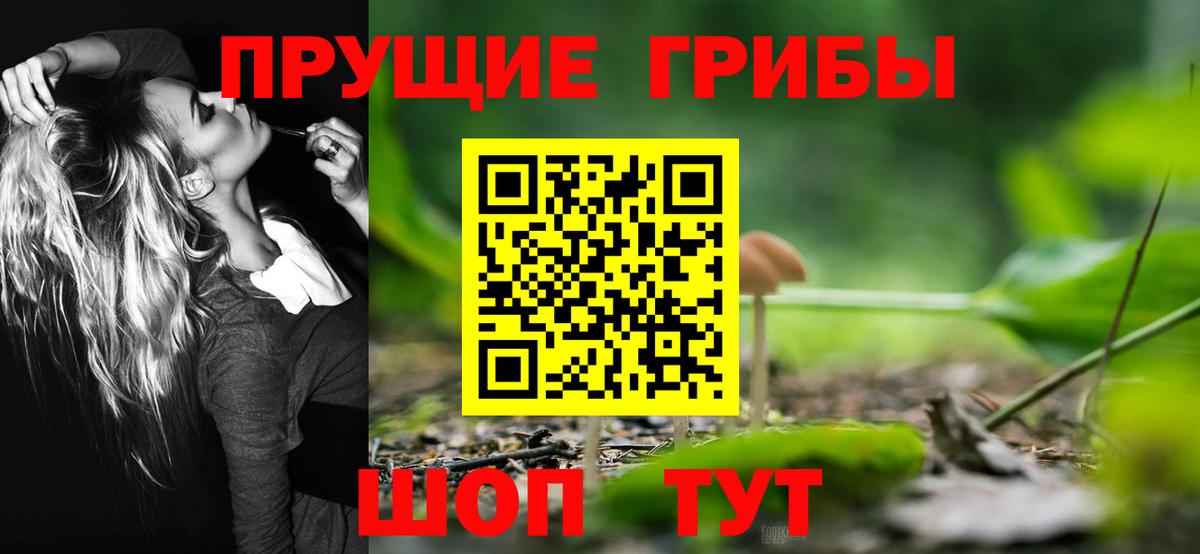 Галлюциногенные грибы MAGIC MUSHROOMS Малгобек